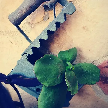 Monacis Bed & Breakfast