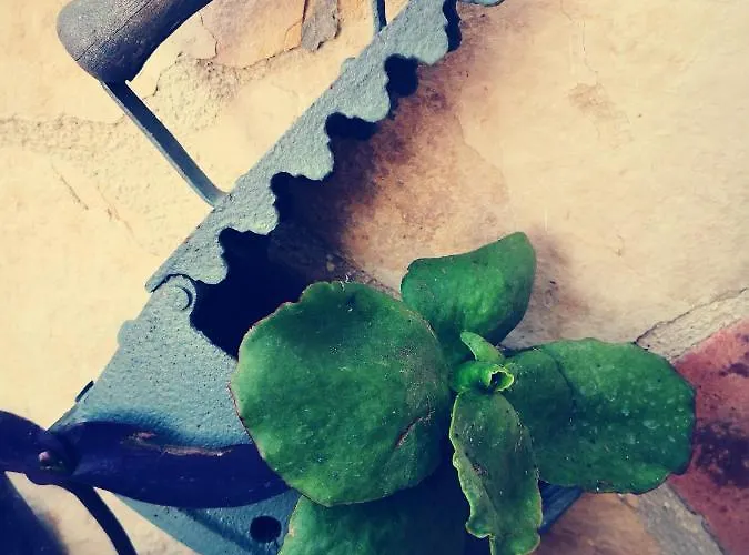 Monacis Bed & Breakfast